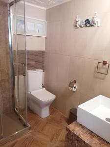 a bathroom with a toilet and a shower and a sink at APARTAMENTO ABADIA in Málaga