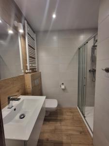 Kúpeľňa v ubytovaní Apartamenty Willove Wzgórze