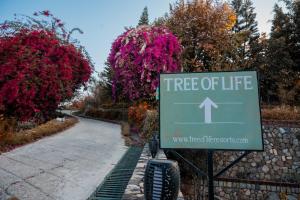 德拉敦Tree of Life Resort Dehradun Foothills的相册照片