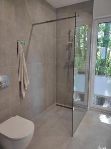 a bathroom with a shower stall and a toilet at Źródlana Apartamenty - całoroczne domy na wyłączność in Odargowo