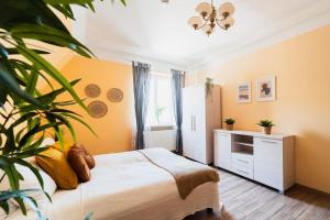 a bedroom with a bed and a potted plant at Market Square - street Rynek 24 -2 Rooms in Wrocław