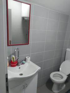 a bathroom with a sink and a toilet and a mirror at Dušanov Zaliv - Perućac in Skelani