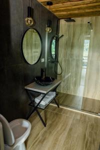 a bathroom with a sink and a mirror at Tiny House Todireni in Vatra Dornei