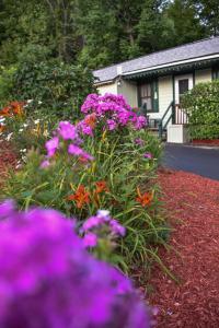 um jardim com flores roxas em frente a uma casa em Adirondack Sunrise Lodge em Lake George