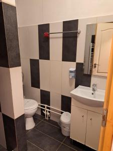 Ảnh trong thư viện ảnh của CASA ARIAN ở Haţeg