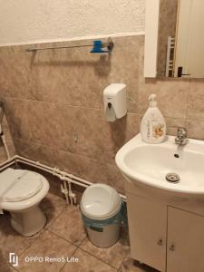 Ảnh trong thư viện ảnh của CASA ARIAN ở Haţeg