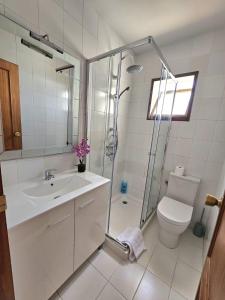 a bathroom with a shower and a sink and a toilet at Apartamento SEA VIEW Celeste Costa del sol Playa Chapparal in Mijas Costa