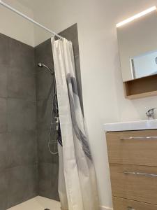 a shower with a shower curtain in a bathroom at LA MAISON D'ANTONIN 2 in Nîmes +174 photos