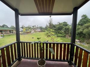 a view from the balcony of a house with a plant at Ulina Villa Segitiga Berastagi in Berastagi