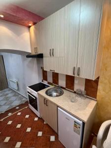a small kitchen with a sink and a stove at Apartment Kotor Old Town in Kotor