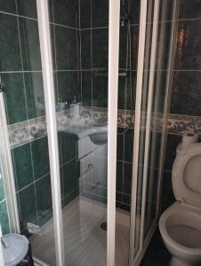 La salle de bains est pourvue d'une douche, d'un lavabo et de toilettes. dans l'établissement Charmante dépendance 10 mn à pieds plage, commerces, à Berck-sur-Mer