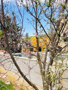 a tree with pink flowers in front of a wall at Green Farm in Jerash