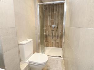 a bathroom with a toilet and a shower at Fir Tree Cottage in Caernarfon +13 photos