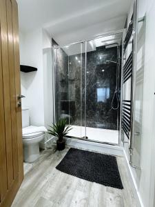 a bathroom with a shower and a toilet at The Atlantis - Tower Apartments in Great Yarmouth