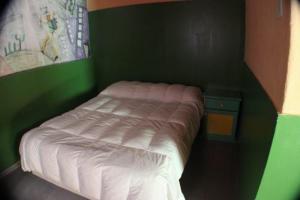 Ein Bett oder Betten in einem Zimmer der Unterkunft Hostel Trotamundos