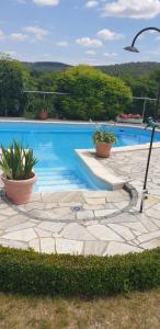 a swimming pool with two potted plants next to it at Ihre Auszeit am Golfplatz in Meisdorf