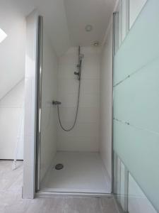 eine Dusche im Bad mit Glastür in der Unterkunft Le Verger de Sophie in Sainte-Geneviève-lès-Gasny