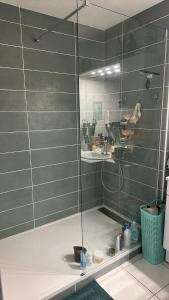 Kúpeľňa v ubytovaní Appartement Vintage 90 m2 DUPLEX classé