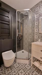 a bathroom with a shower and a toilet at Apartament nad zalewem 217 in Serock