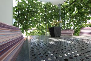 Zahrada ubytování Apartment Lycia