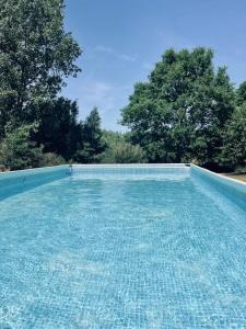a blue swimming pool with trees in the background at Cisowy Zakątek in Sasino