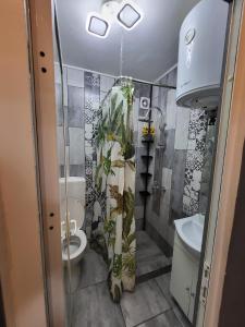 a bathroom with a toilet and a shower curtain at Apartament Cristian Relax in Olimp