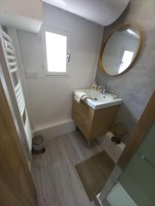 a bathroom with a sink and a mirror at Le naturel d'Amboise in Amboise