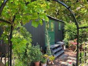 un cobertizo verde con un banco en un jardín en The Rumple Hut en Wingfield