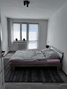 Posteľ alebo postele v izbe v ubytovaní Apartament 33