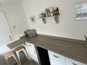 - une cuisine avec un comptoir et un four micro-ondes dans l'établissement Spacious one bed apartment in a quiet leafy close., à Barnstaple