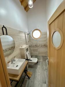 a bathroom with a sink and a mirror at Complex Andris in Murighiol