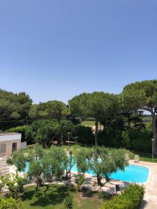 an overhead view of a swimming pool with trees at Otus Camere in Otranto