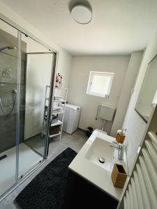 a bathroom with a shower and a sink at Casa Vacanze Natura in Mendola