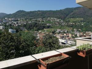 einen Balkon mit zwei Topfpflanzen auf dem Dach in der Unterkunft I due archi in Como