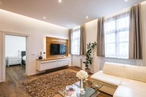 TV a/nebo společenská místnost v ubytování Hotel Zlaty Andel