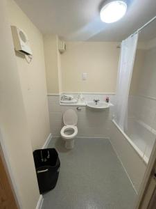 a bathroom with a toilet and a sink and a shower at TANGO APARTMENTs in London