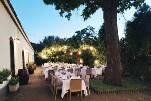 a long table with white tables and chairs under a tree at L'Antica Vigna in Randazzo