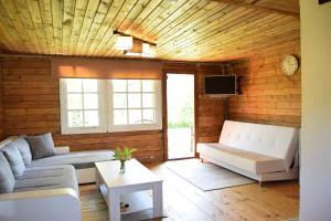 ein Wohnzimmer mit einem Sofa und einem TV in der Unterkunft Papli suvemajake in Haapsalu