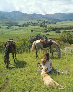 uma mulher sentada num campo com um cão e dois cavalos em Casa Tumi Round Houses. 