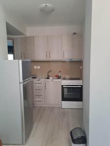 a kitchen with white appliances and wooden cabinets at Nikiana Family Apartment in Nikiana