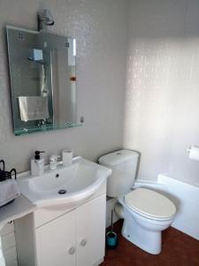 a white bathroom with a toilet and a sink at Le Nid de L’Île in Chinon