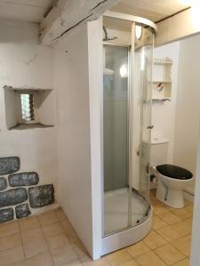W łazience znajduje się przeszklony prysznic i toaleta. w obiekcie Breton stone cottage with a garden near the river w mieście La Vicomté-sur-Rance