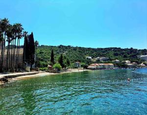 a body of water with a beach and palm trees at Apartman Ezza in Lopud