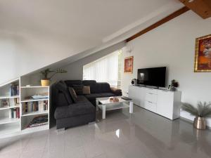 sala de estar con sofá y TV en A&D Apartment+Ferienwohnung/Elsasser Blick en Bühlertal