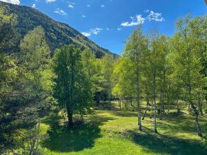 un bosque de árboles con montañas en el fondo en Le Mansarde di Siberia, en Craveggia