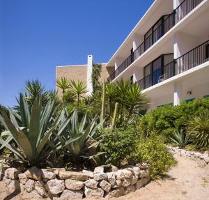 Gallery image of Hotel Osiris Ibiza in San Antonio