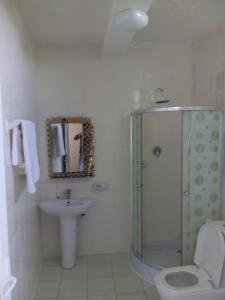 a bathroom with a shower and a toilet and a sink at Zan-Seyoum Hotel - Lalibela in Lalibela