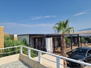 a house with a palm tree and a car on a balcony at Olive Mobile Home, Terra Park SpiritoS in Kolan