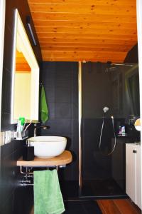Un baño con lavabo blanco y ducha. en Grandin Holidayhouse, en Domaso