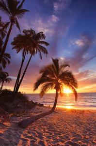 two palm trees on a beach at sunset at Palm Bay Resort Phu Quoc in Phú Quốc